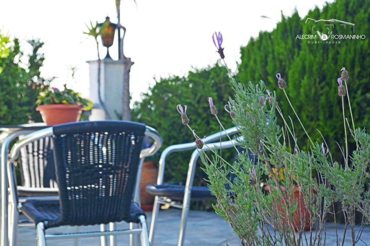 Alecrim Rosmaninho Guest House Pinhel Exteriör bild